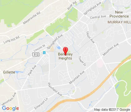 logo-image - berkeley-heights-nj